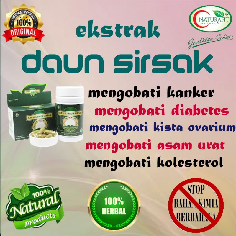 OBAT KANKER PALING AMPUH EKTRAK DAUN SIRSAK 60 KAPSUL - Obat kanker curmax/Obat kanker tulang/Obat k