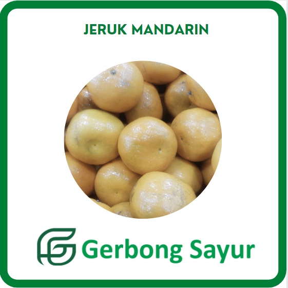 

Buah Jeruk Ponkam / Jeruk Mandarin Segar - 1 Kg