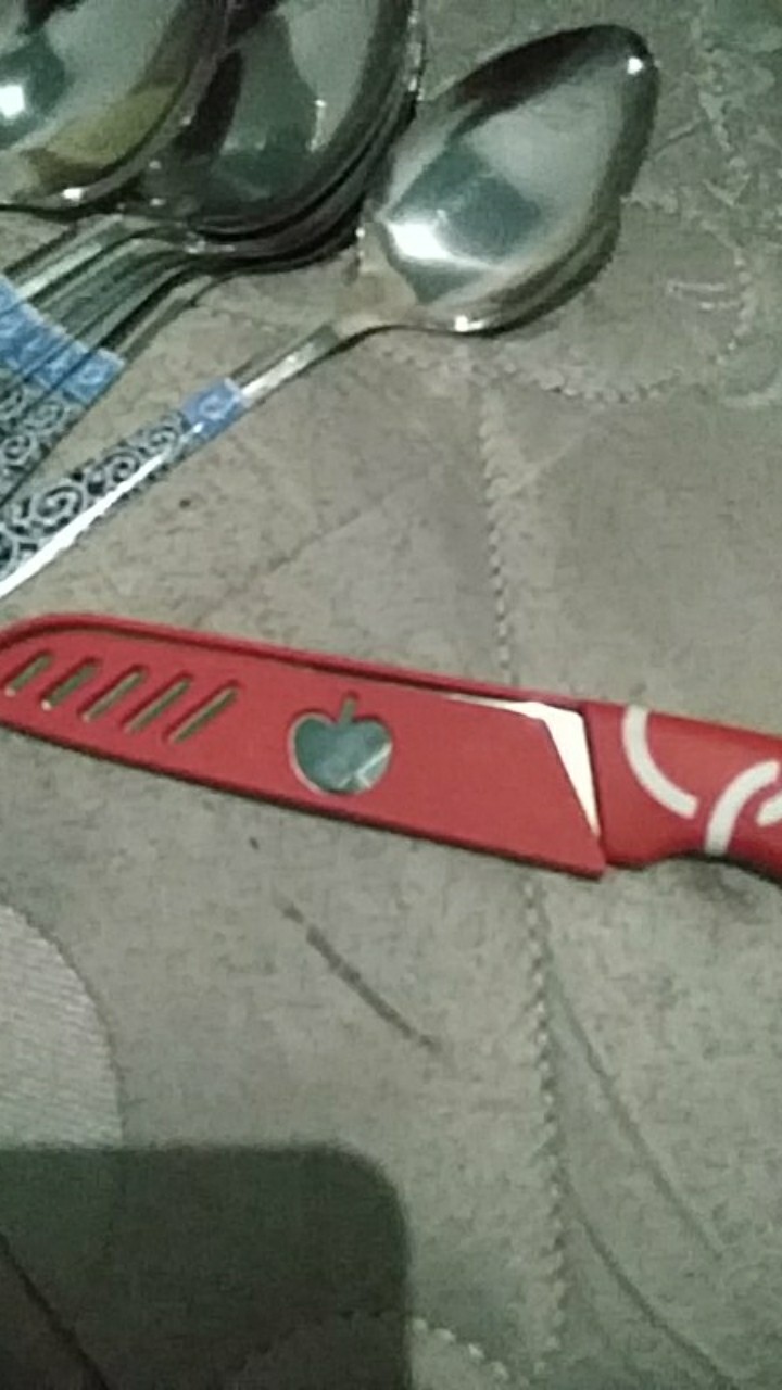 Pisau Buah Sayur Makanan Kitchen Set Stainless Steel Knife Dapur Unik / Pisau Apel