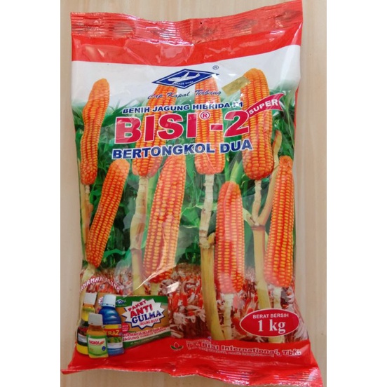 Benih Jagung Hibrida F1 BISI 2 SUPER
