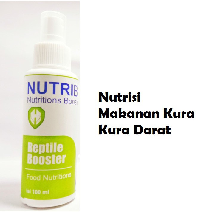 Nutrisi Makanan KuraKura Darat
