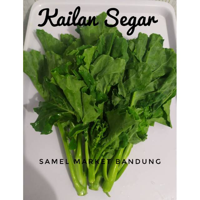 

Kailan segar 500 gr