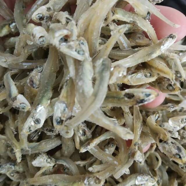 

ikan teri 140k/kg