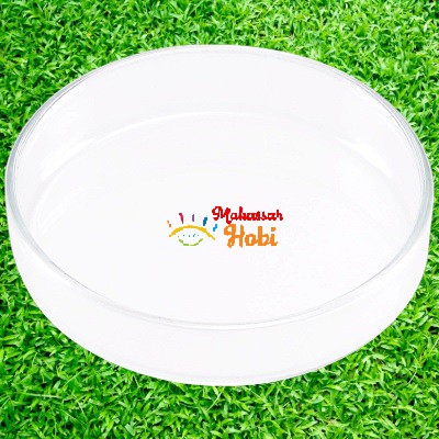 ISTA Shrimp Feeding Dish Tempat Makan Makanan Udang Hias Aquascape