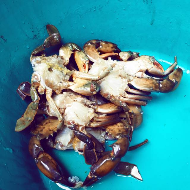 

Kepiting kupas