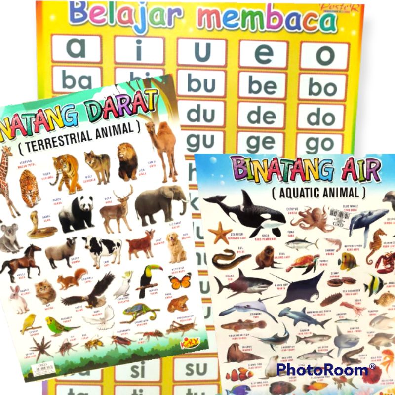 poster hewan angka abjad / gambar hewan angka abjad perkalian pertambahan pengurangan