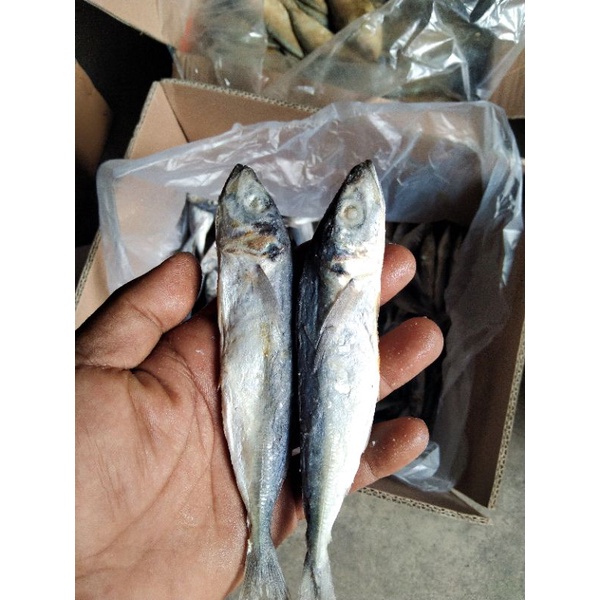 

Ikan asin layang /ikan layang asin 500gr