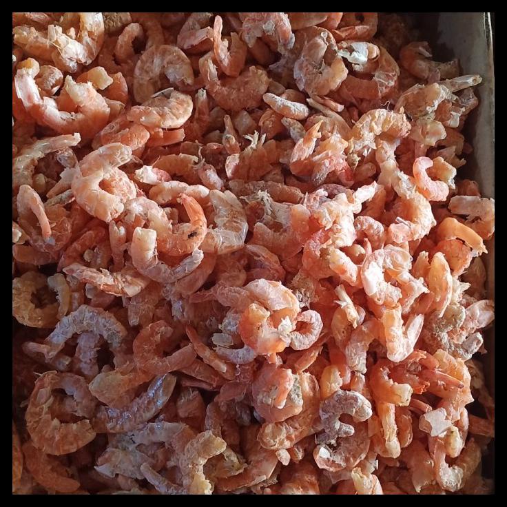 

DISKON TERBATAS !!! IKAN ASIN EBI MERAH KERING KALIMANTAN 1 KG FRESH TERLARIS
