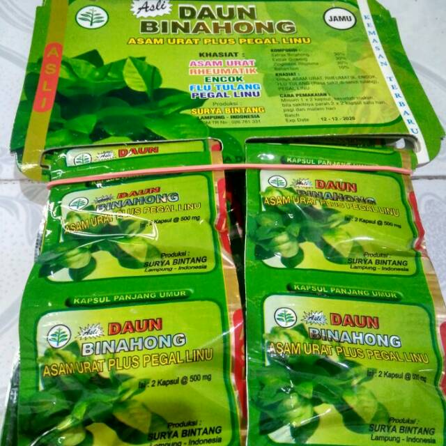 Jual Kapsul Daun Binahong Ampuh Atasi Asam Urat Pegalinu Dll Asli