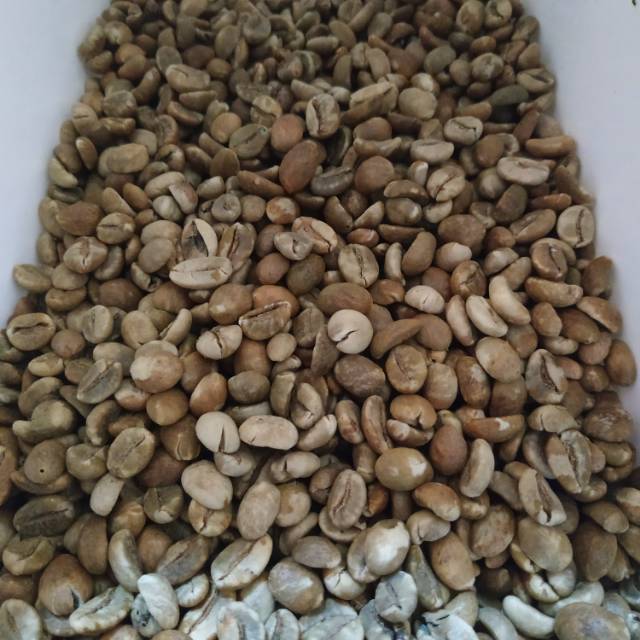 

GREEN BEAN ROBUSTA KEPAHIANG - BENGKULU 1KG