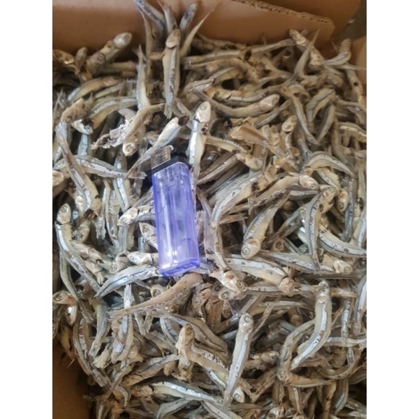 

ikan teri jengki