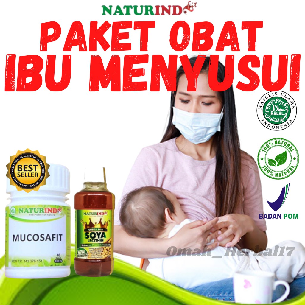 Paket Obat Ibu Menyusui Nutrisi Ibu Hamil Menyusui Vitamin Ibu Hamil Menyusui