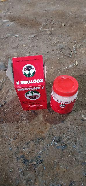 Zat Pengatur Tumbuh (zpt) Rootone F