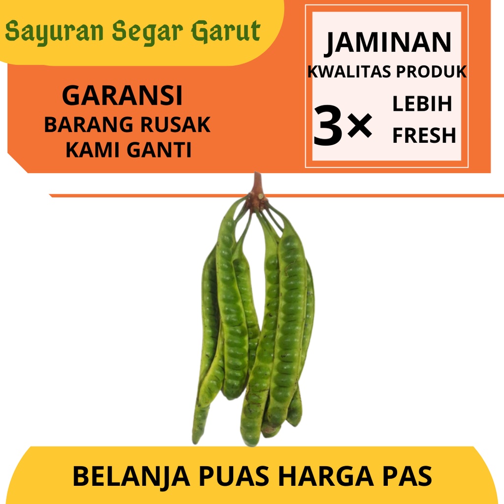 

Pete Petey Super Segar Fresh Murah per Papan by Sayuran Segar Garut