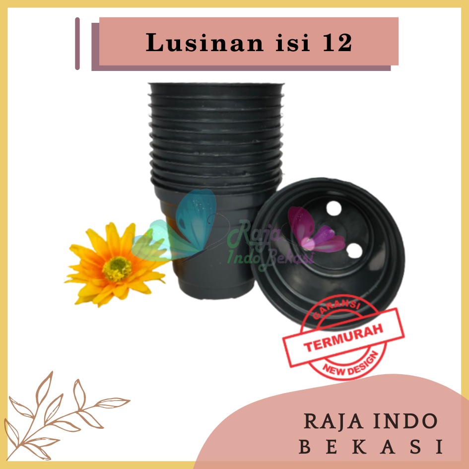 Lusinan Pot 8 Cm Hitam Pot 8cm Plastik Putih Mini Minimalis Kaktus Sukulen Lucu Murah Pot Pembibitan - Lusinan Isi 12pcs