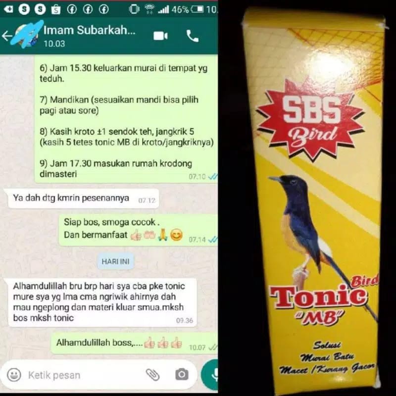 VITAMIN BURUNG MURAI GACOR DARI MACET JADI BUNYI / BIRD TONIC MB VITAMIN BURUNG MURAI JAWARA