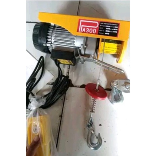hoist pa300 300kg