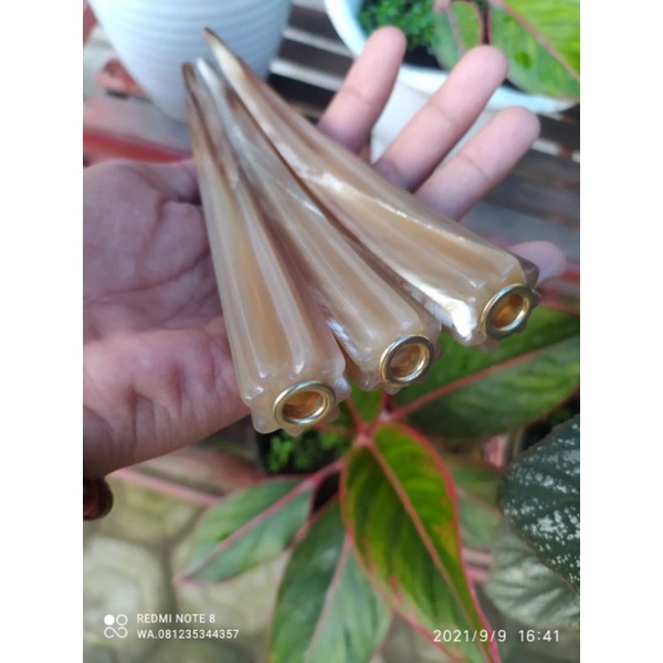 once pipa rokok tanduk kerbau(bisa COD)