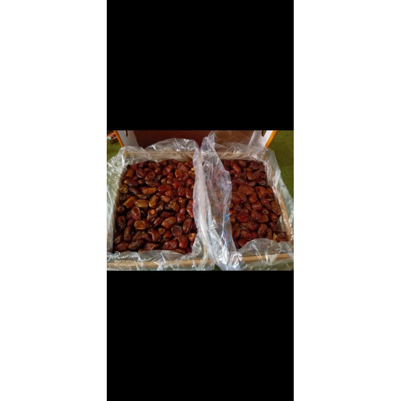 

kurma mesir