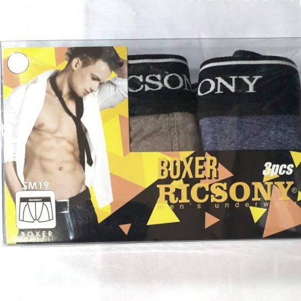 Celana Dalam Pria Ricsony Isi 3 pcs - SM 19