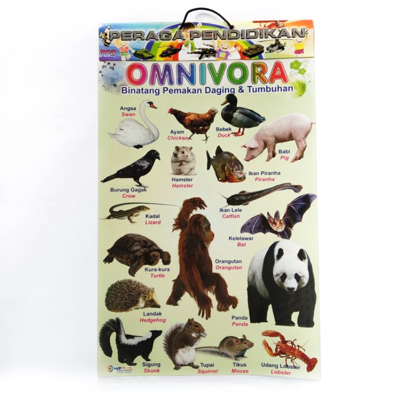 

Poster Anak,Poster omnivora besst sellee,mapplus