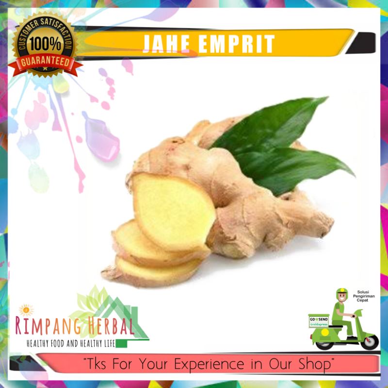 

Jahe Emprit | GROSIR | 1KG | Rimpang Herbal