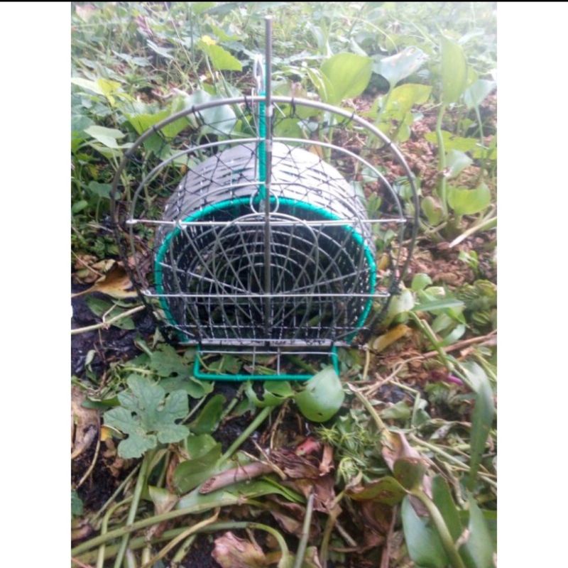 Jebakan burung sawah ruak