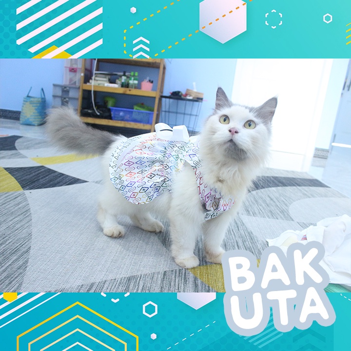 Dress Pelangi dasar putih terbaru baju kucing dan anjing / baju kucing murah size S-XL