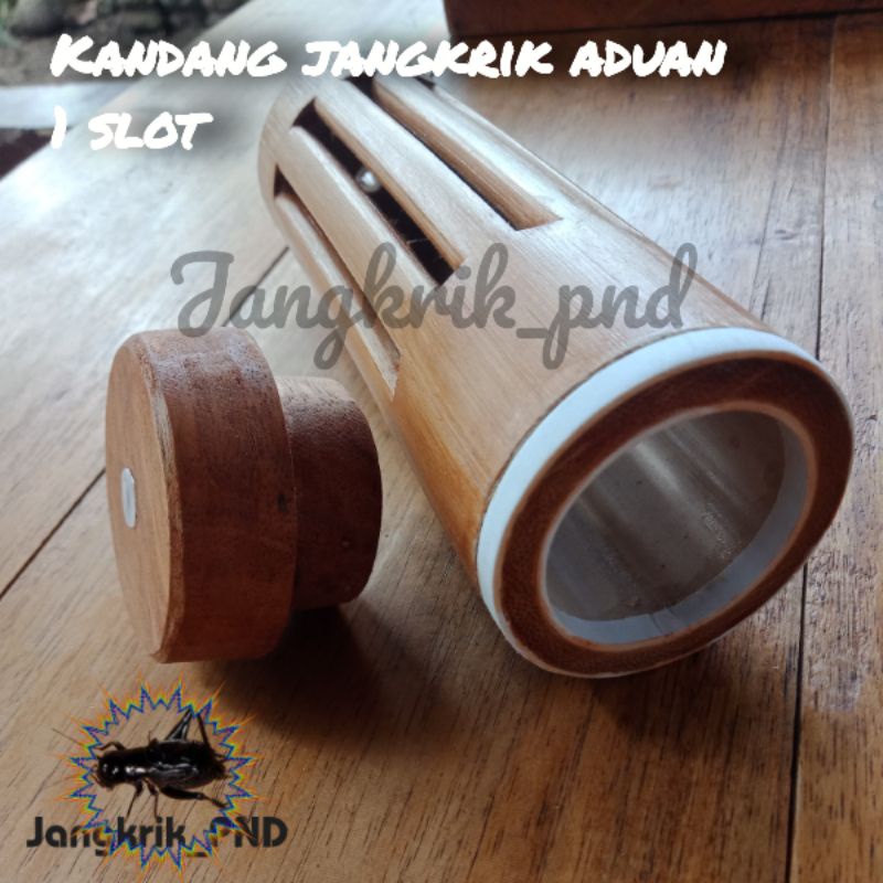 kandang jangkrik aduan 1 slot bambu bulat unik / kandang jangkrik bumbung