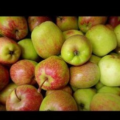 buah apel ana garing manis 1 kg