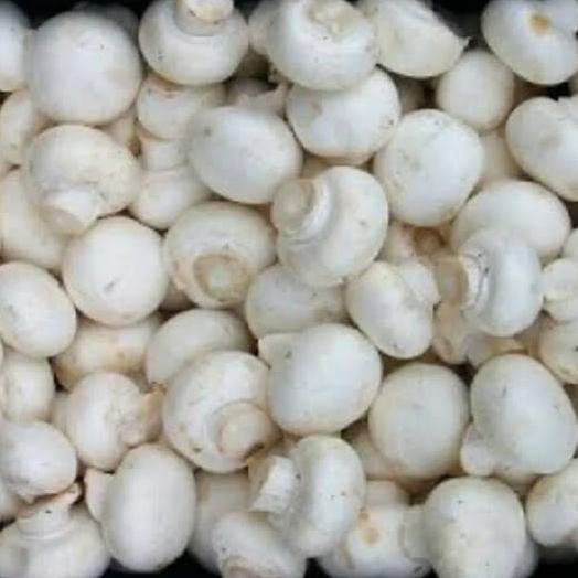 

TERMURAH Jamur Champignon / Jamur Kancing Fresh @1kg Kode 807