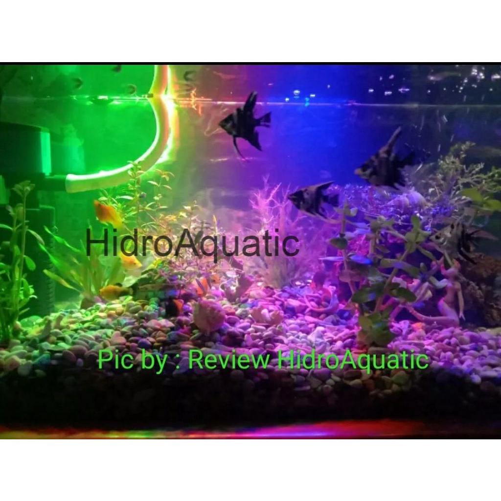 Lampu Aquarium 60cm 3 Warna - Akuarium / Lampu celup / Lampu Led / Lampu neon