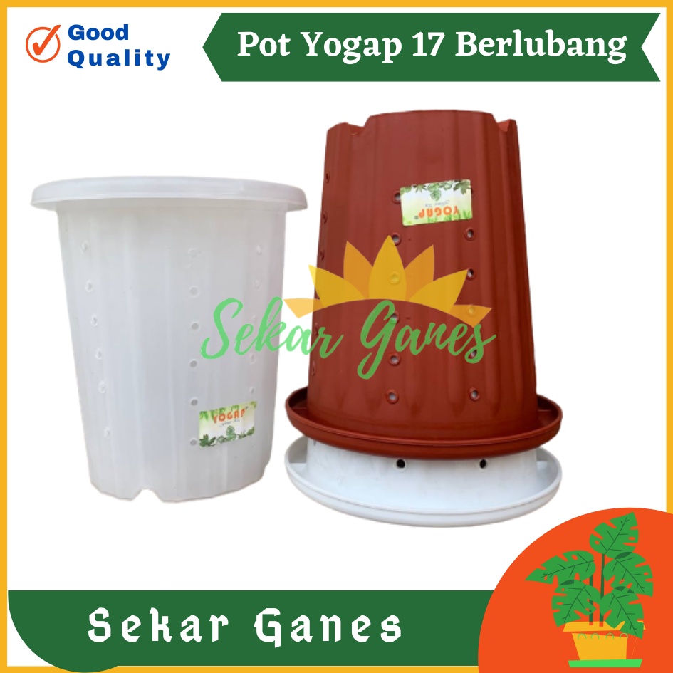 Sekarganes Pot Yogap 17 Putih Bening Transparan Merah Bata Merah Coklat Terracota Terracotta Berlubang