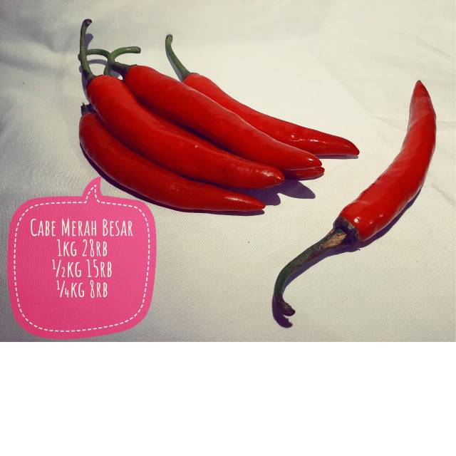 

Cabe besar