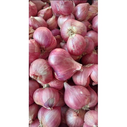 

Bawang Merah Asli Nganjuk