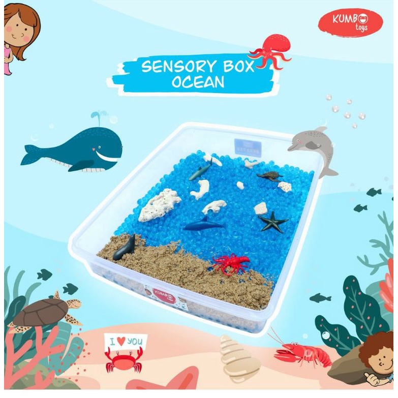 Ocean Sensory Box | Mainan Montessori Sensory Play