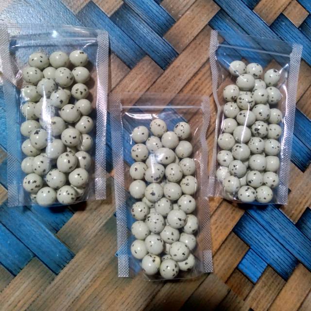 

Cokelat L'agie Planet Putih isi Kacang 100gr - Coklat telur puyuh