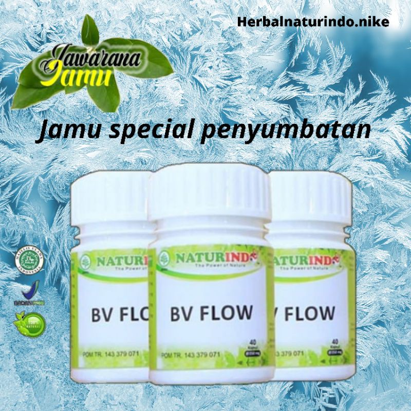 Obat herbal ampuh pengencer darah obat herbal ampuh melancarkan peredaran darah obat herbal ampuh penyumbatan obat herbal ampuh kesemutan dan kebas obat herbal alami penyumbatan asli tumbuhan BV-FLOW NATURINDO-1