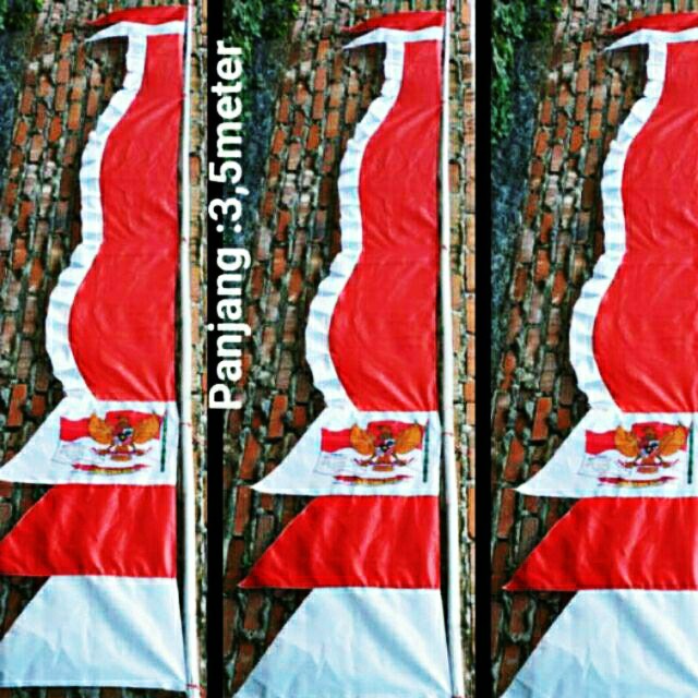 UMBUL UMBUL KUDA LAUT