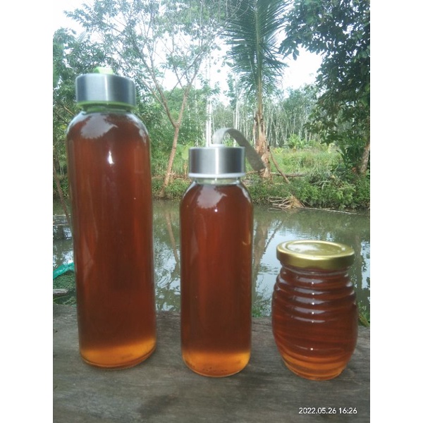 

Madu Murni | Madu Sialang Hutan Sumatera