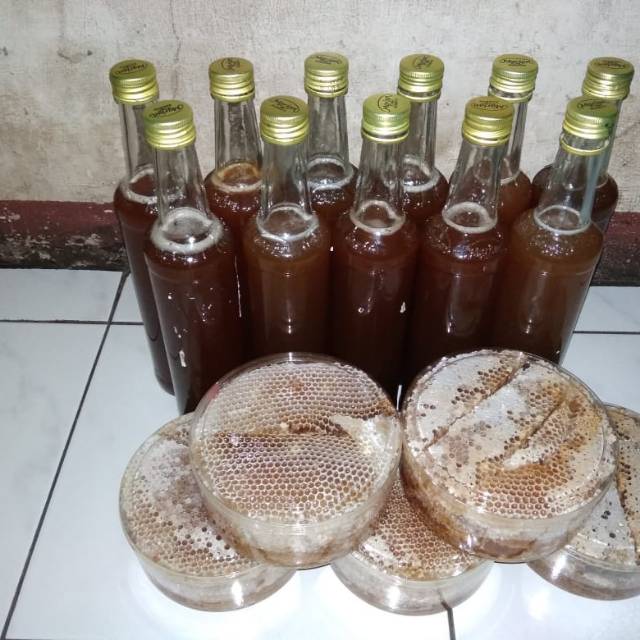 

Madu asli CSD