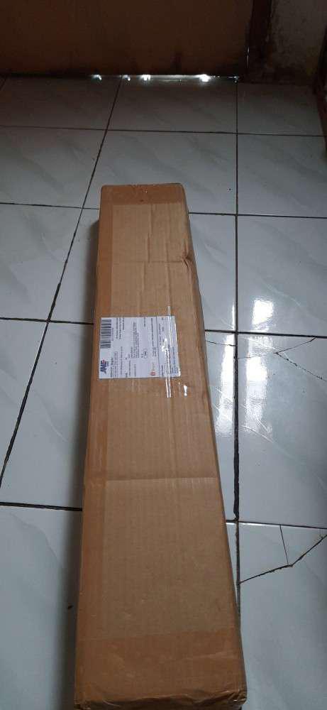 Bibit Nangka Madu Unggul