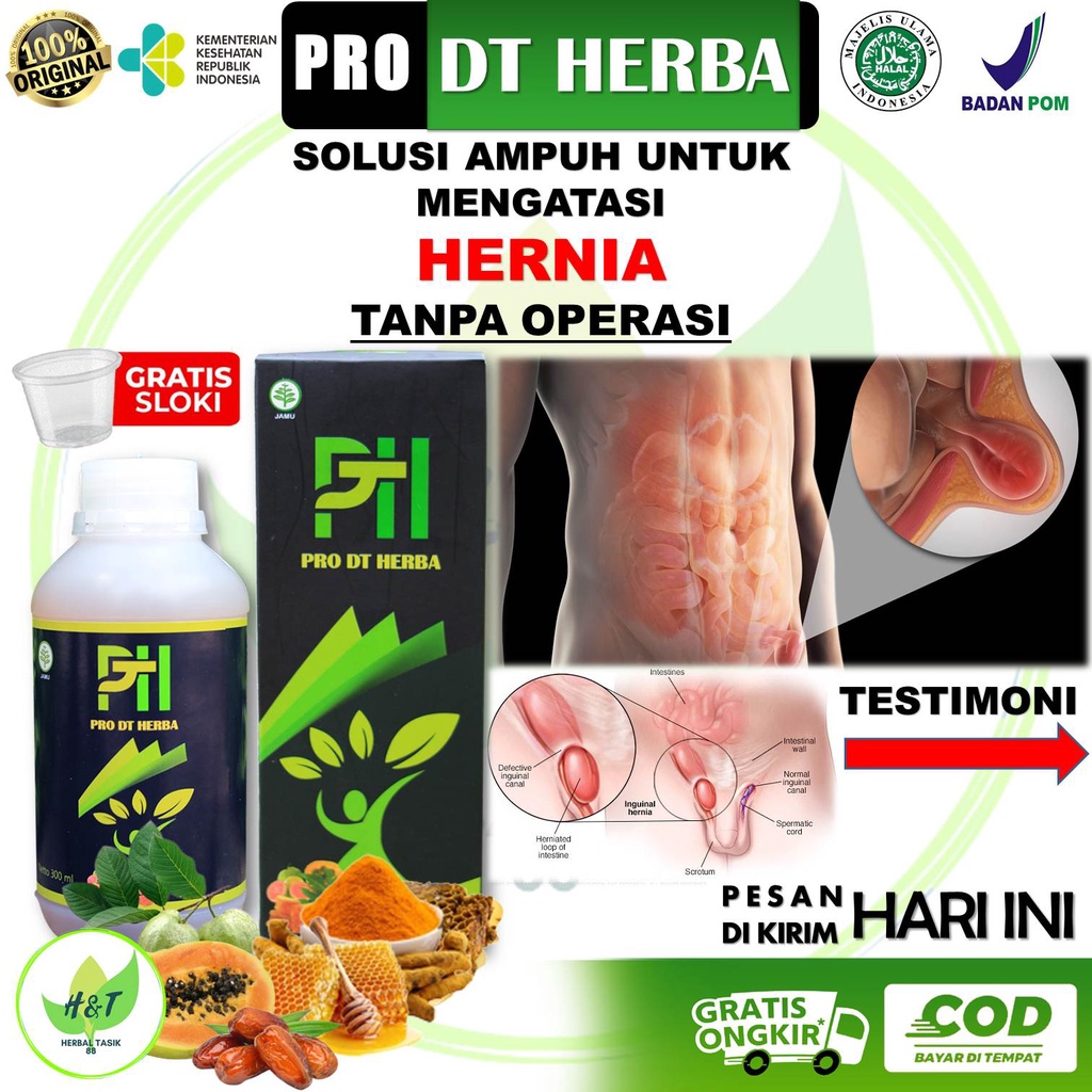 Jual Obat Hernia Pro DT Herba_Obat Hernia Paling Ampuh Obat Hernia