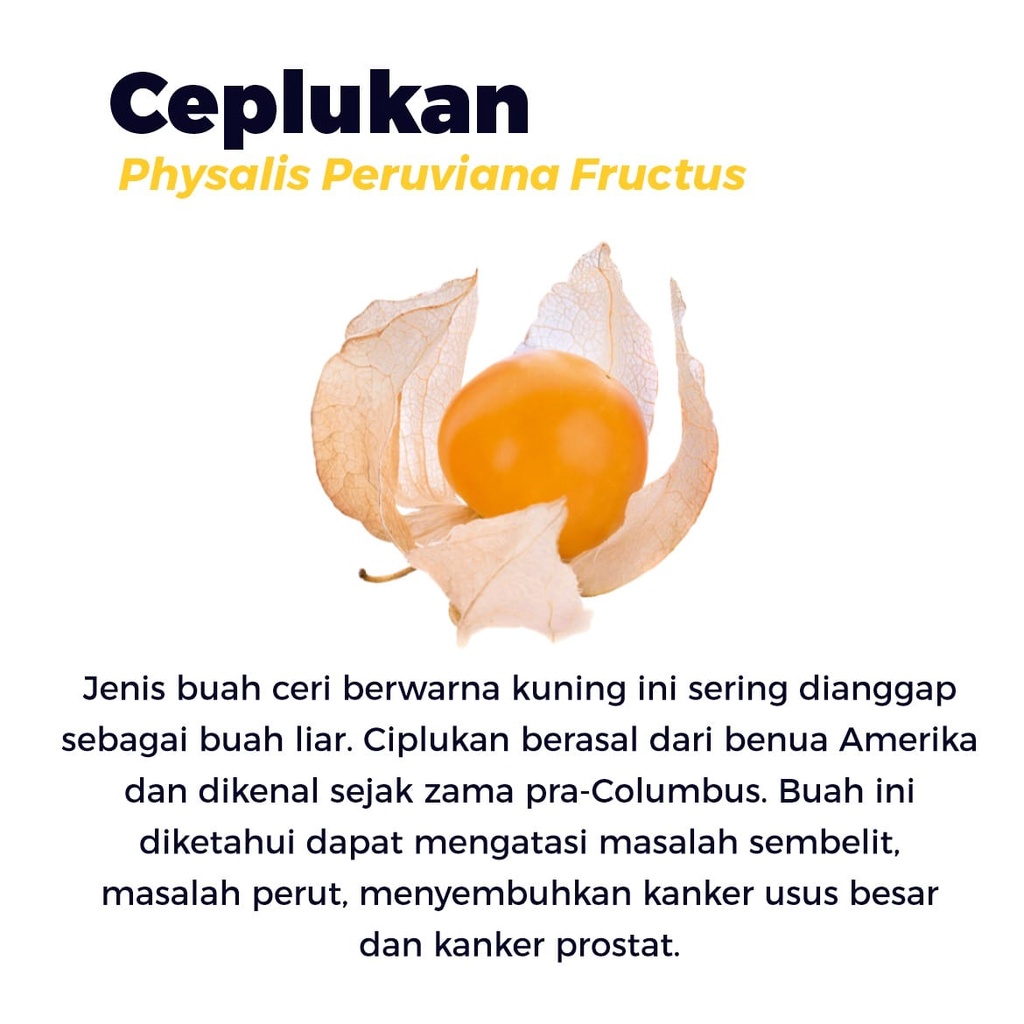 Obat Hernia Madu Herbapros Obat Herbal Prostat Dan Turun Berok Ampuh