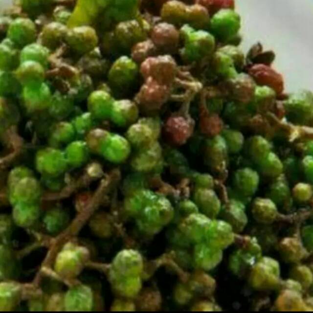 

Buah Andaliman Segar dan Hijau, Asli Khas Medan, 500 gr