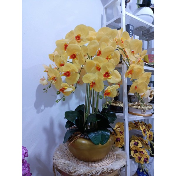 Anggrek Latex Premium Vas Gold