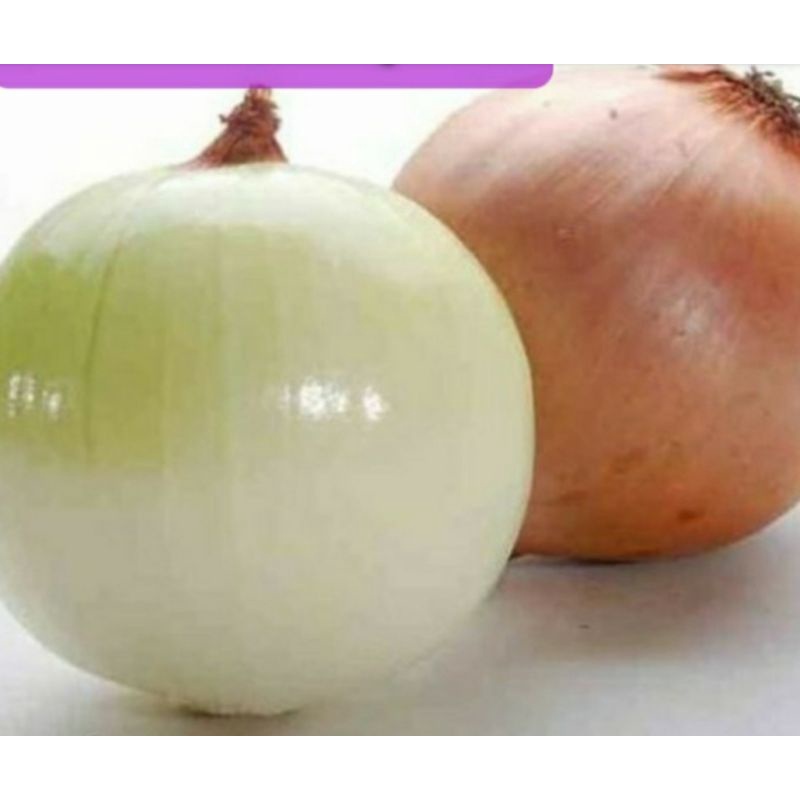 

Bawang bombay kupas bersih dan fresh 250gr