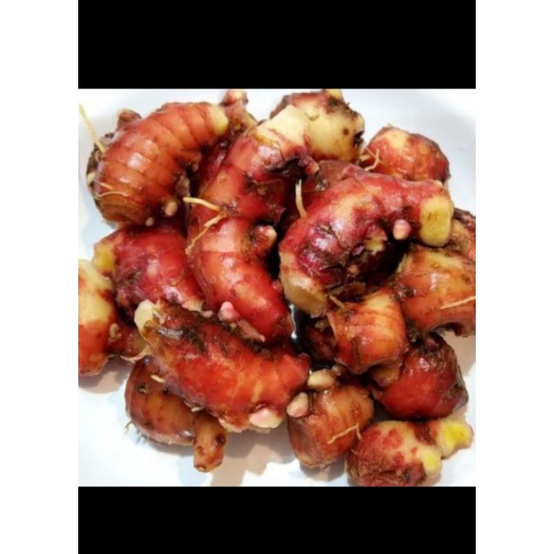 

Jahe merah berkualitas - 250 Gram