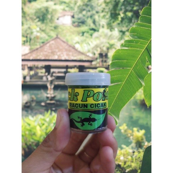 Racun Cicak Herbal Ampuh Membunuh Cicak FEFARM