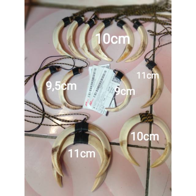 Kalung etnik taring babi hutan.